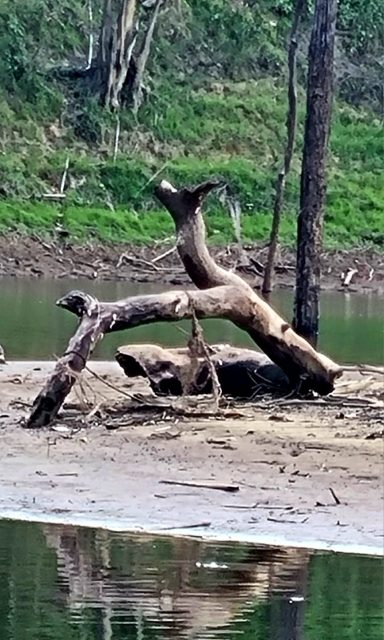 River Nanay sandbank