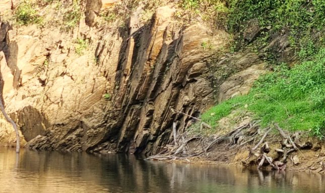 Thailand dry season biotope
