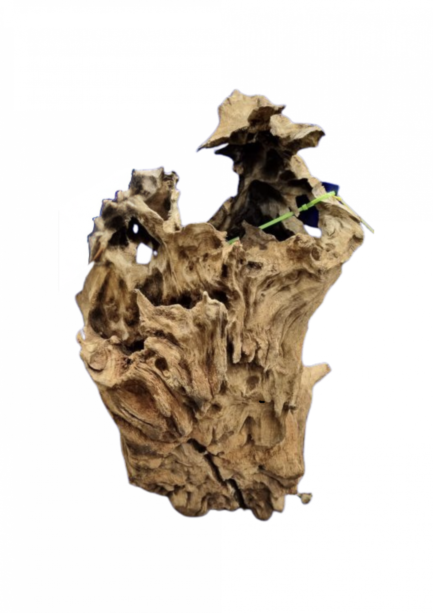 Hardscape inspiration