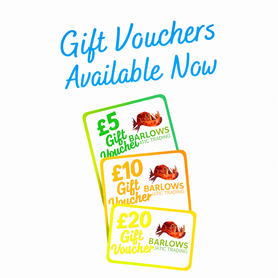 GIFT VOUCHERS