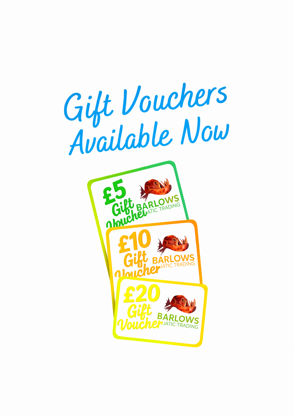 GIFT VOUCHERS