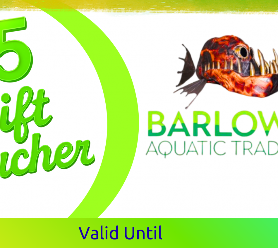 GIFT VOUCHERS