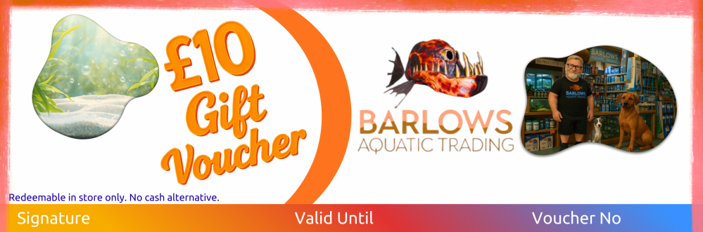 GIFT VOUCHERS