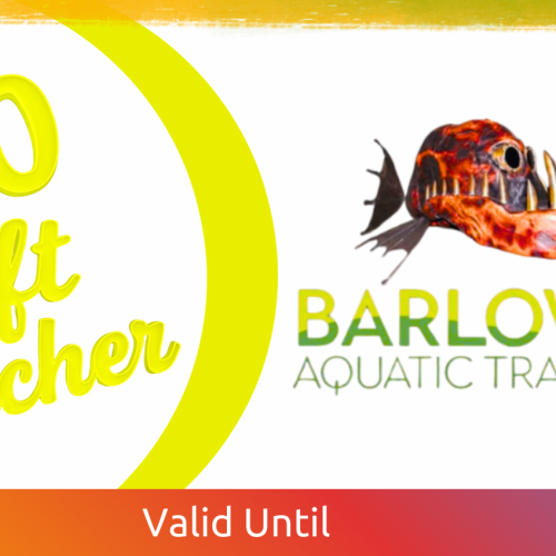 GIFT VOUCHERS