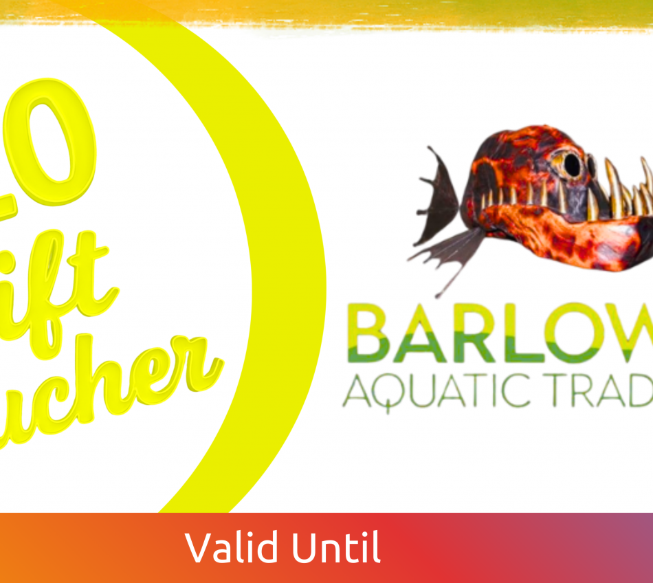 GIFT VOUCHERS