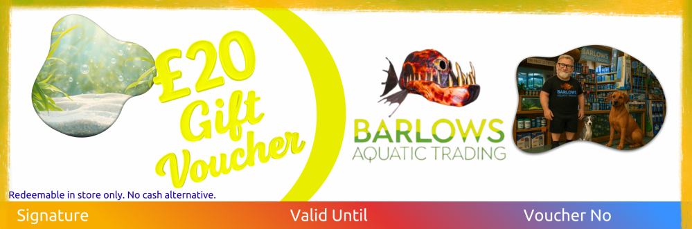 GIFT VOUCHERS