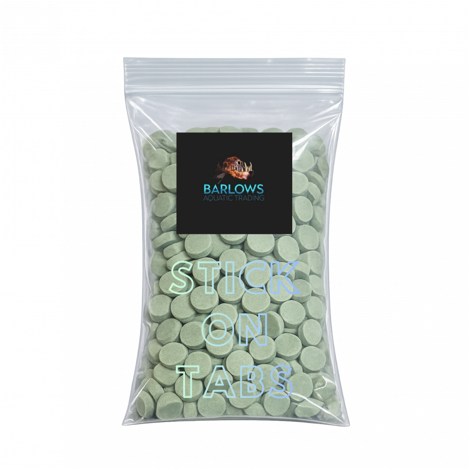 Fish Food