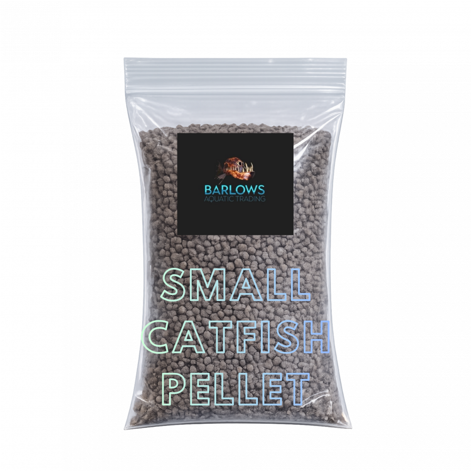 Fish Food
