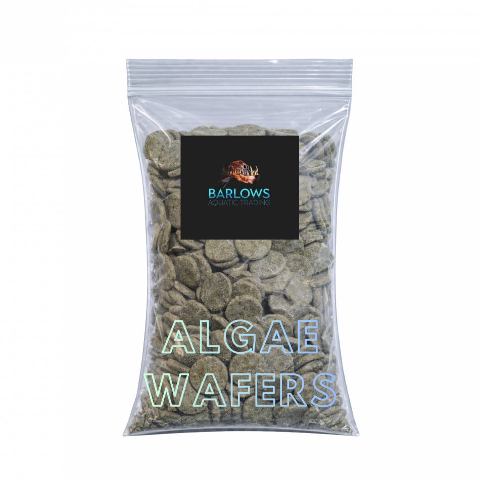 Fish Food