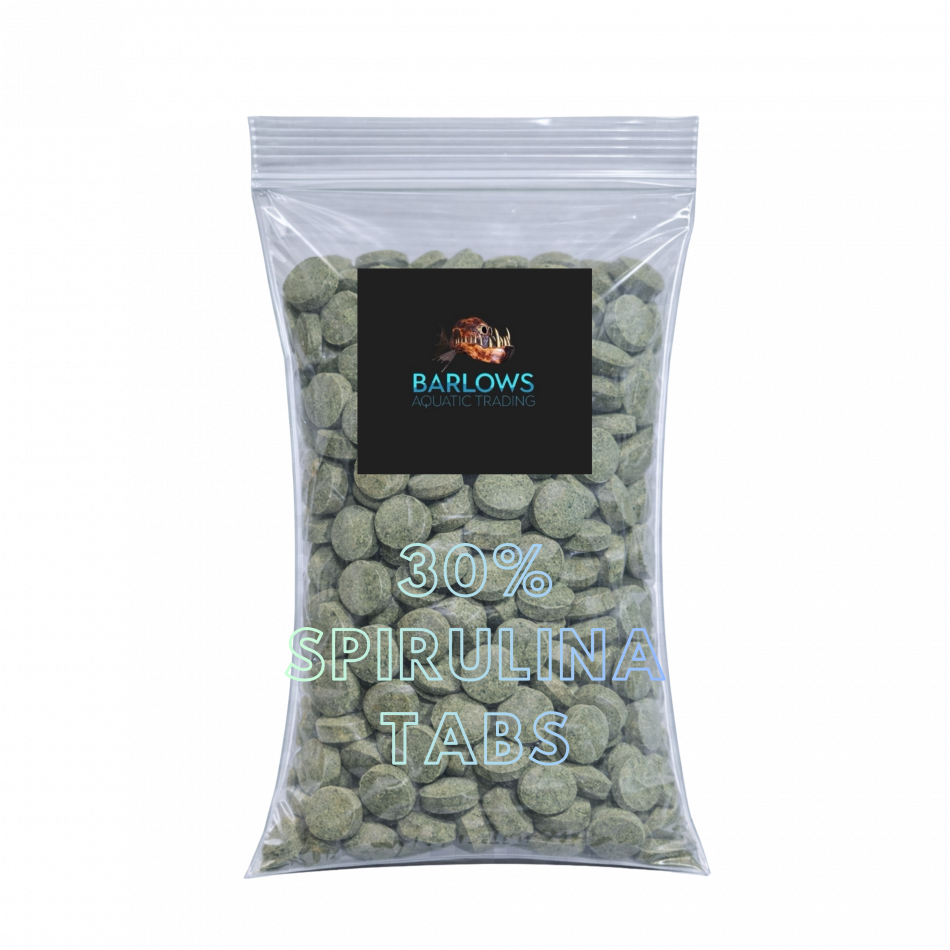 Fish Food