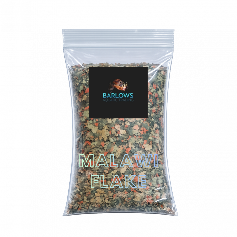 Fish Food