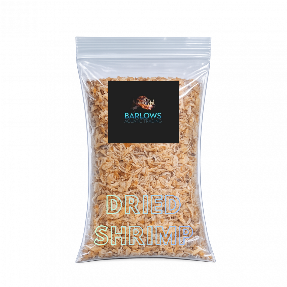 Fish Food