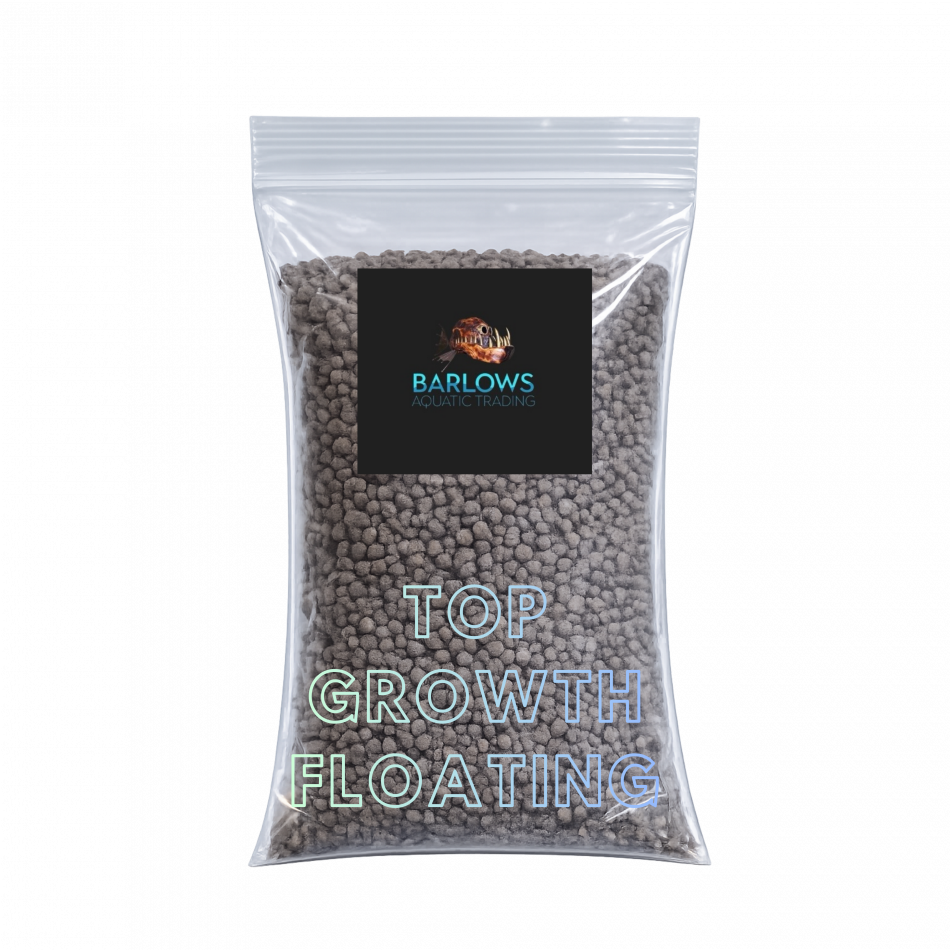 Fish Food