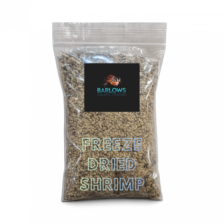 Fish Food