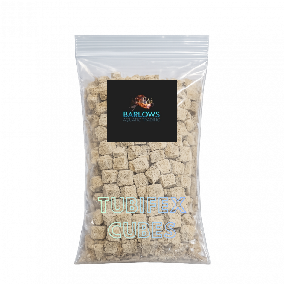 Fish Food